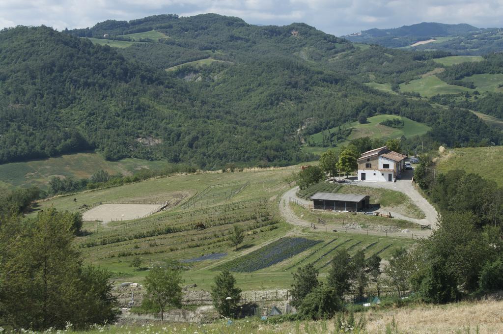 B&B Villa Rossana Langhirano Zewnętrze zdjęcie