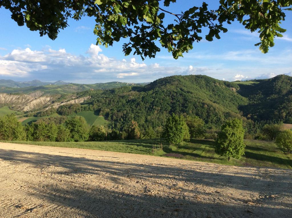 B&B Villa Rossana Langhirano Zewnętrze zdjęcie