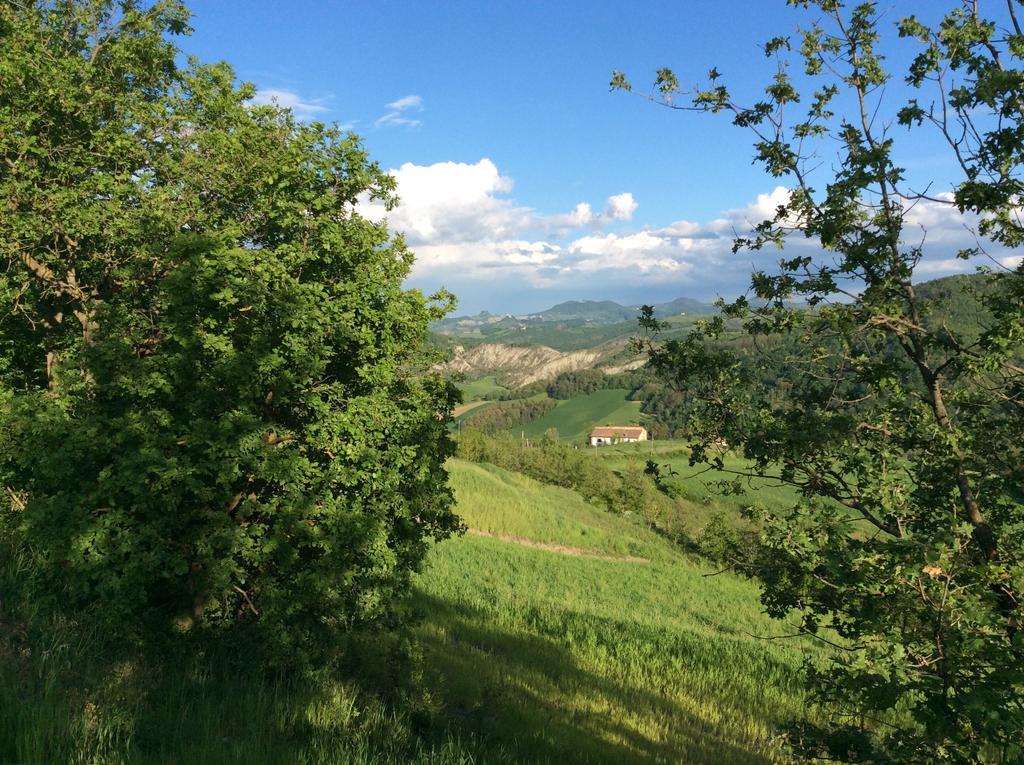 B&B Villa Rossana Langhirano Zewnętrze zdjęcie