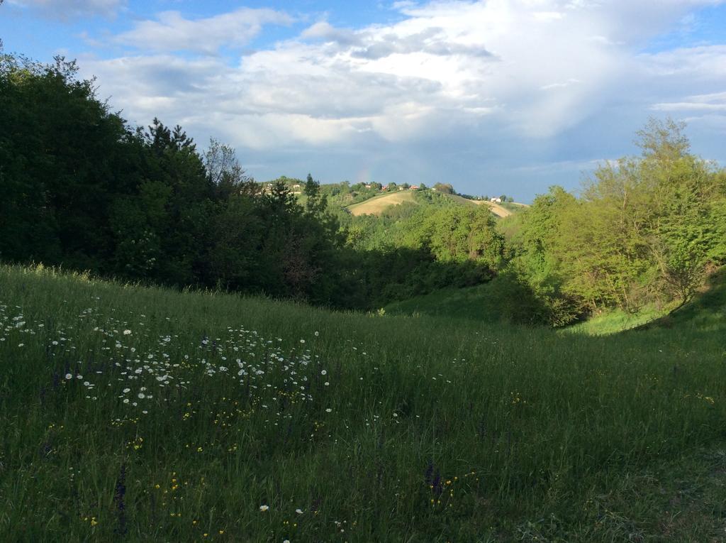B&B Villa Rossana Langhirano Zewnętrze zdjęcie