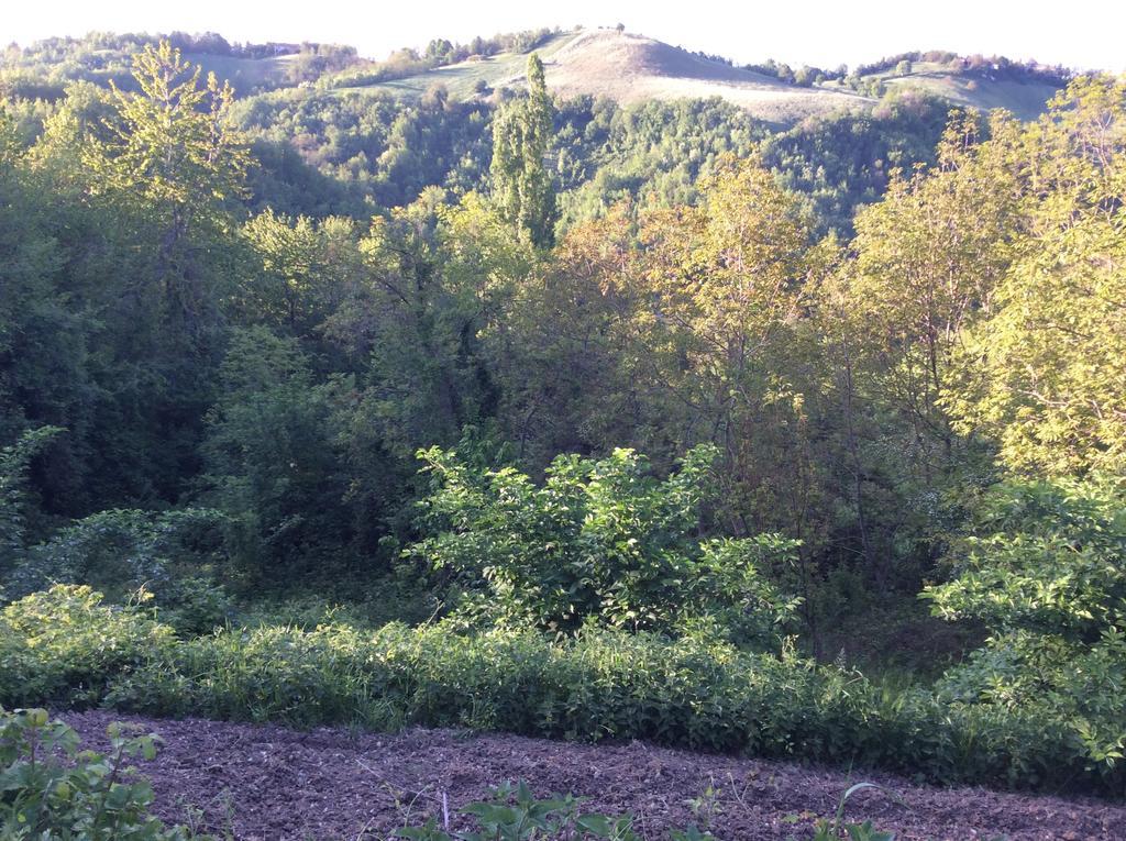 B&B Villa Rossana Langhirano Zewnętrze zdjęcie